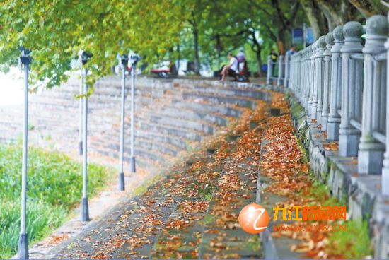 九江市迎来大风降水天气