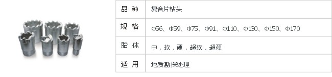 JD13-1-2复合片钻头