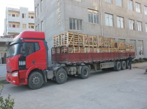 江大工程近期出口产品一览